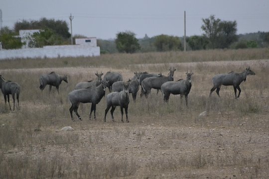 Tour image 5