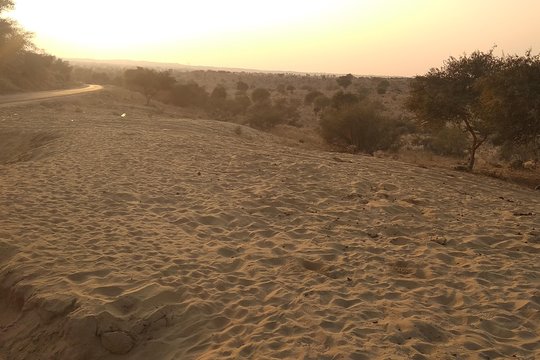 Tour image 10