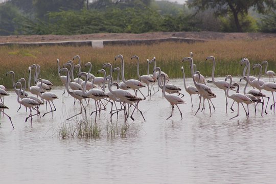 Tour image 6