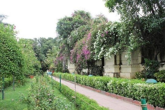 Tour image 7