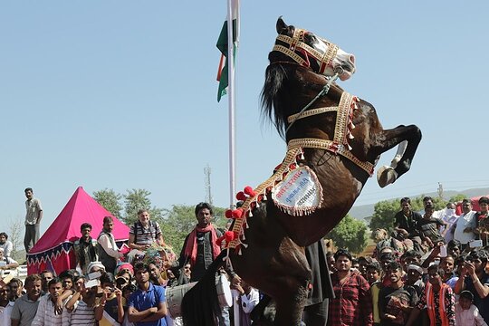 Tour image 3