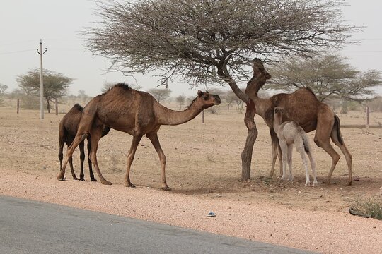 Tour image 11