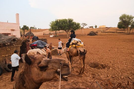 Tour image 12